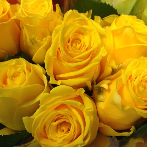  Flor cortada